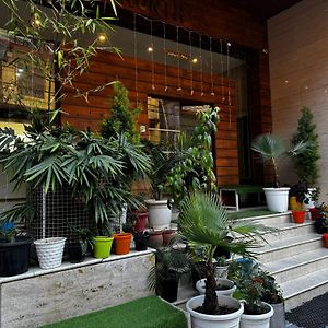 #The Vaikunth Mcleodganj Dhauladhaar View# Big Free Parking# Ac Rooms Centrally#Elevator